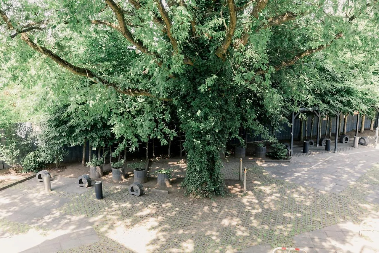 Grobo Apartments Hamburk 0*,